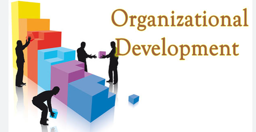 Organizational Development