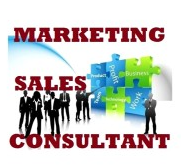 Marketing and Sales Consulting